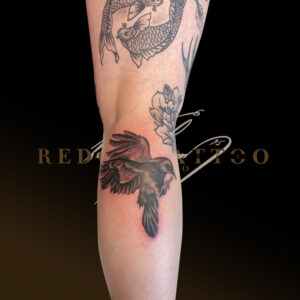 Redontattoo